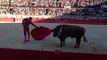 José Maria Manzanares face à un toro de Juan Pedro Domecq
