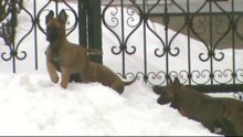 Be Aware F's outside in the winter