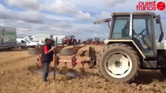 Terre attitude 2013 - La finale du concours de labour