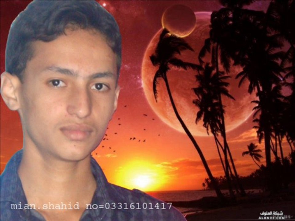 shahidamin55