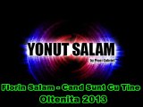 LIVE FLORIN SALAM - CAND SUNT CU TINE - NUNTA MADIN 2013 - BY YONUTZ SALAM