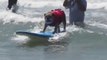 Best Surfer Dog Rides 2013 Helen Woodward Surf Dog