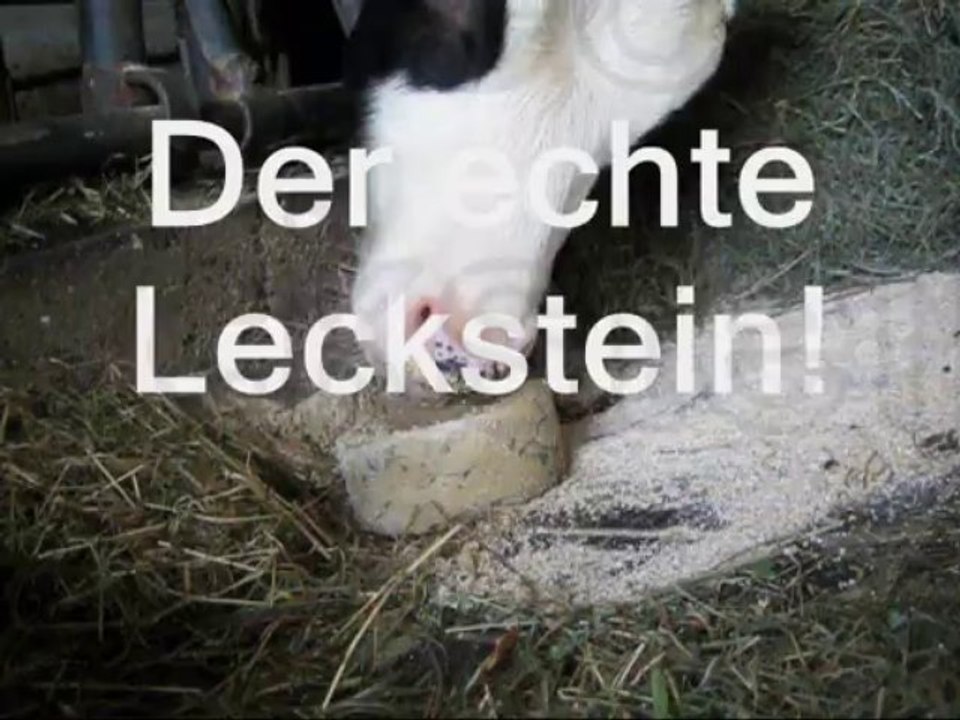 Elliott und der 'echte' Leckstein!