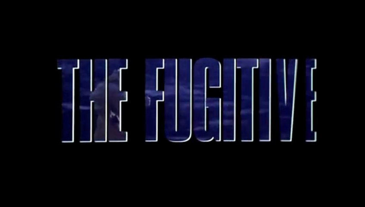 Le Fugitif - Andrew Davis