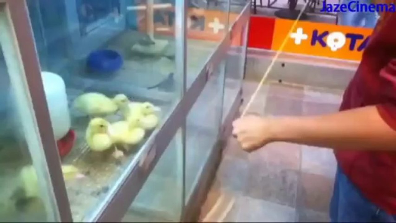 Epic Fail Compilation _ December 2012