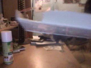 Présentation de l'hamster et sa cage