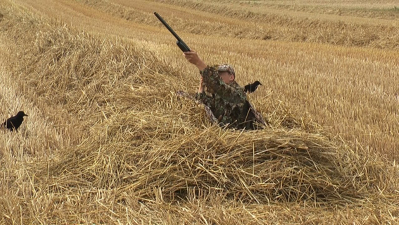 affut horizontal camo - layout blind - cache-tombeau