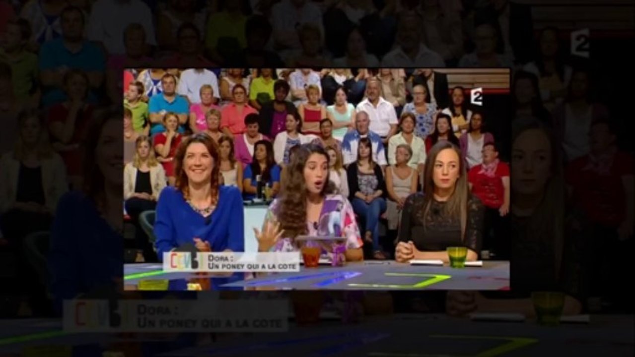 Vlog 1, CCVB bonne ou mauvais publicité pour les bronies ?