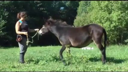 Septembre 2013 - Roxane, Bernadette & Undo