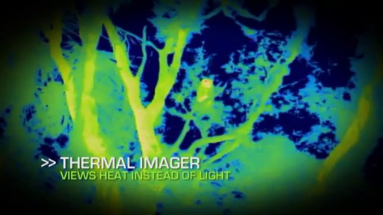 Dunkle Wildnis Raeuber der Nacht S01E01 Florida Panther