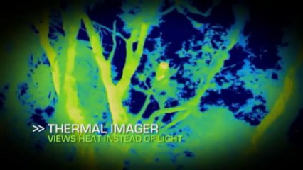 Dunkle Wildnis Raeuber der Nacht S01E01 Florida Panther