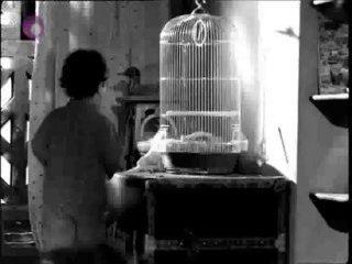 جسار قلبك حنين يا نبي