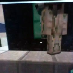 minecraft crazyness