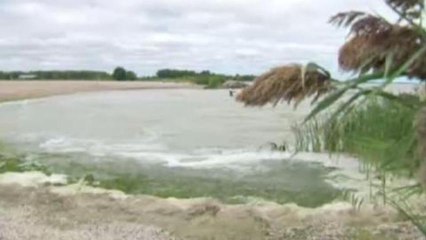 US Lake Erie suffocated by toxic algae