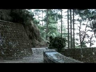 Steep road leading up to Landour, above Ruskin Bond's house