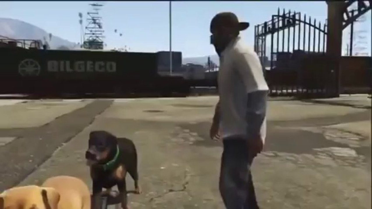 GTA 5 - Leaked Footage - Dogs Having Sex