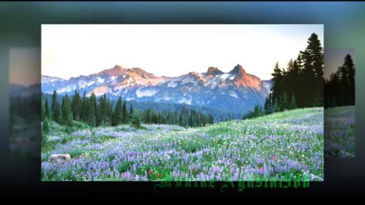 Travel around the world