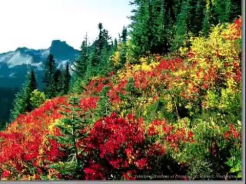 Candan Erçetin & Bahar & BEN