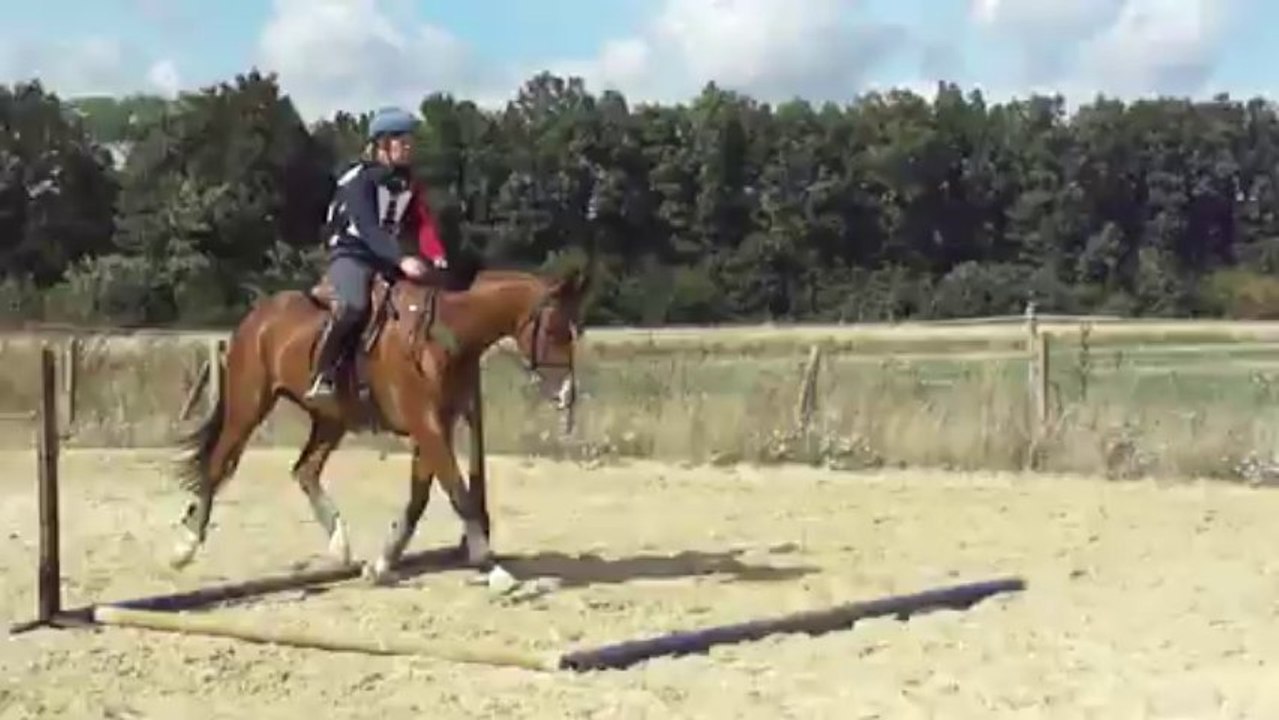 1er travail chez Cécile