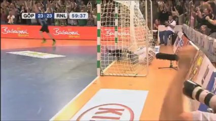 Résumé Göppingen - Rhein-Neckar