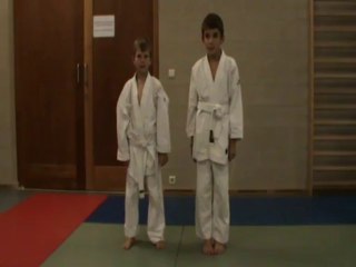 Yoko kami dori : kani