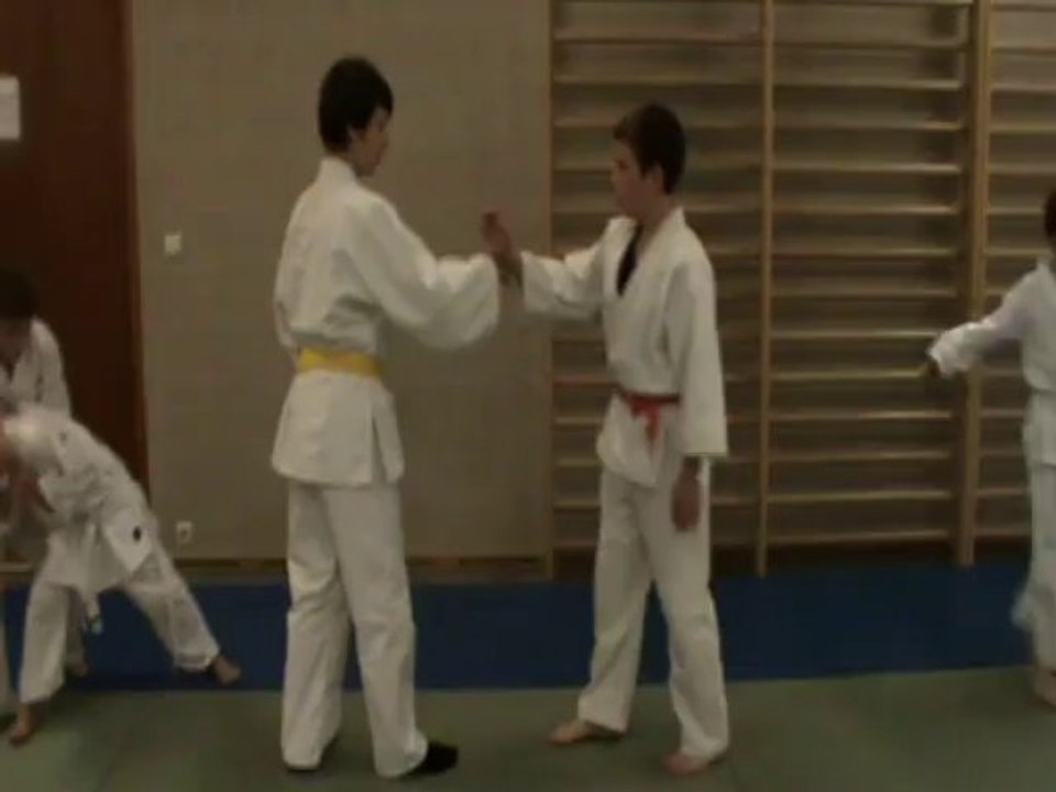 Ai hanmi jodan katate dori : kote gaeshi kihon