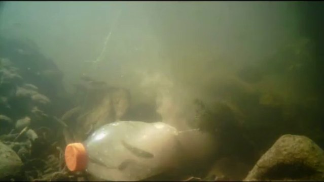 pêche vairons minnow trap live bait trap bouteille-carafe à vairon