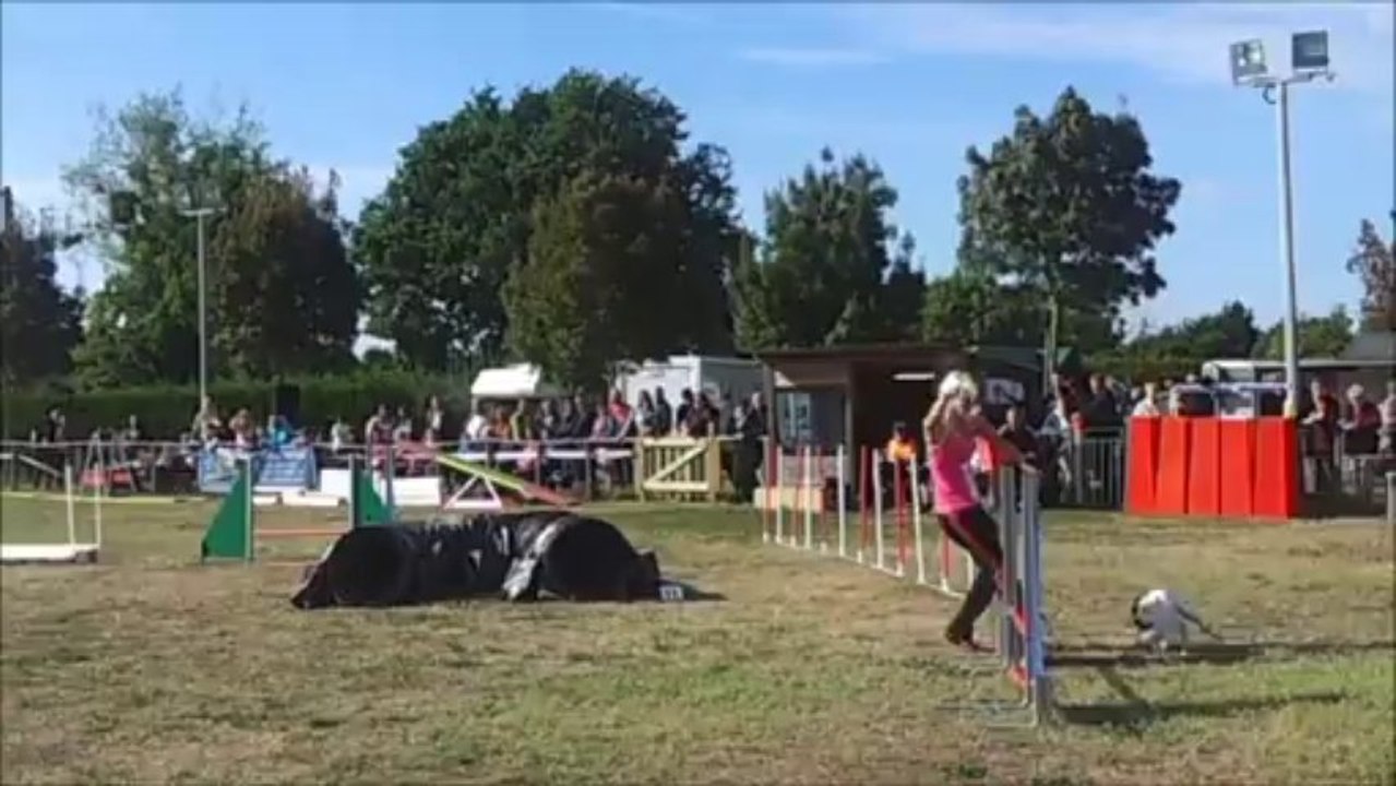 Eclipse Saint Julien de Concelles 2013