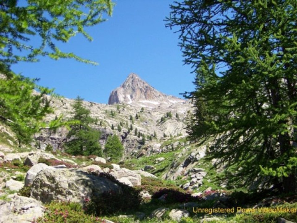 Le Mercantour (juin 2011)