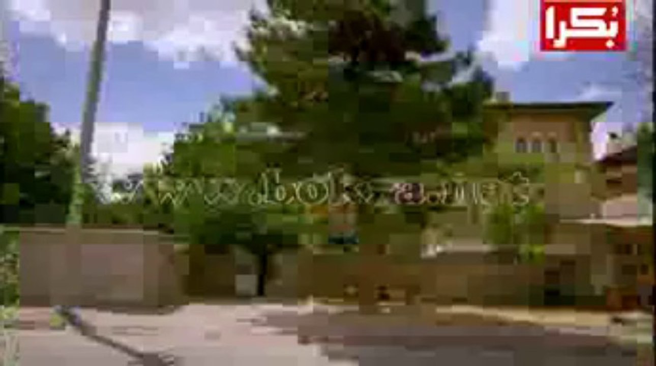 wind2-10 (2)