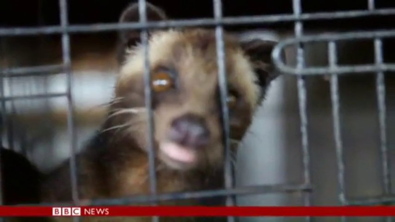 Coffee's Cruel Secret