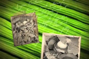 India pour soigner et nourrir vos cheveux