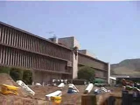 Jeremy Mcgrath And Travis Pastrana