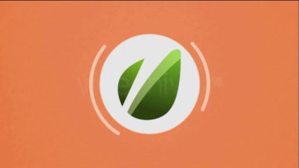 Motion Graphic Logo - After Effects Template