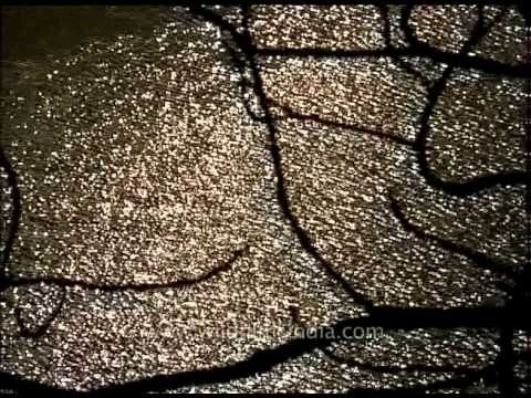 Sacred water of the holy river Ganges