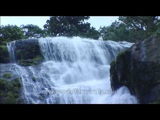 Waterfall flowing gracefully