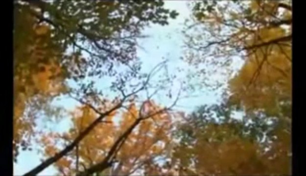 Truth Of Now original electronic dance/trance music track video