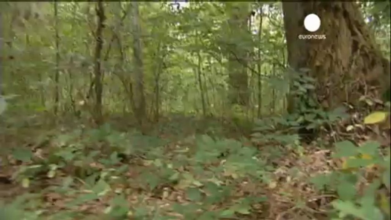 Swiss rapist arrested in murder hunt