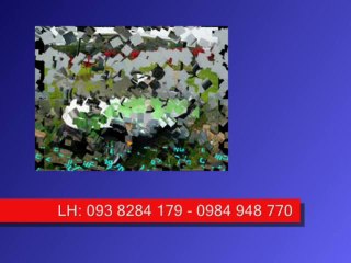 xe dien cho khach  ... liên hệ: 093 8284 179 mr bảo