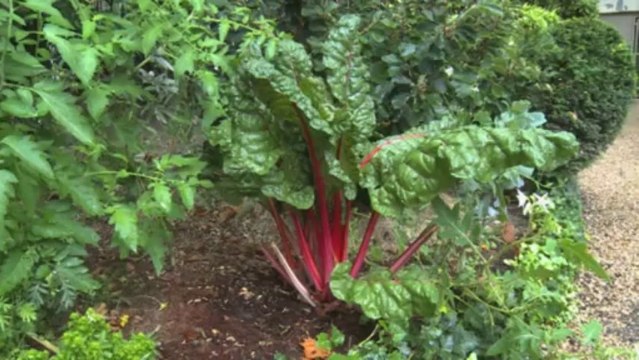 Les journées européennes du patrimoine 2013