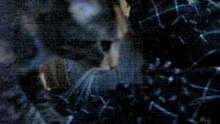 Meow Smooshing 1