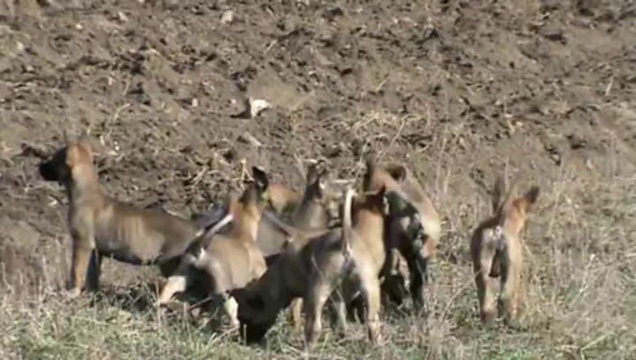 Be Aware F's - Going for adventures