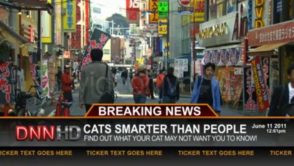 REAL News Lower Thirds - After Effects Template