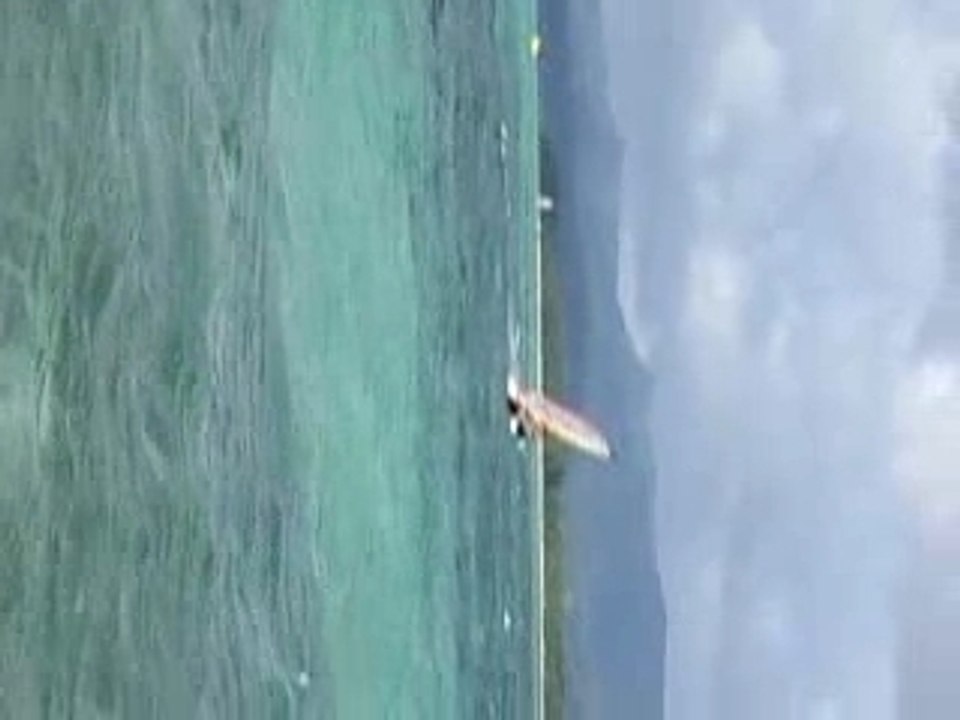 Wibblingbarbs windsurfing
