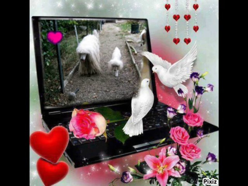 Hommage a Seven et Number