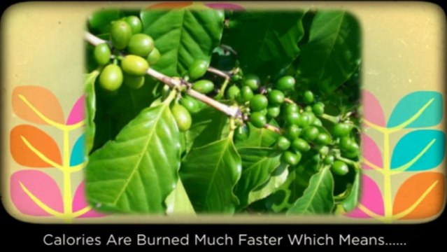 How Improving Life style Can Improve Weight Loss