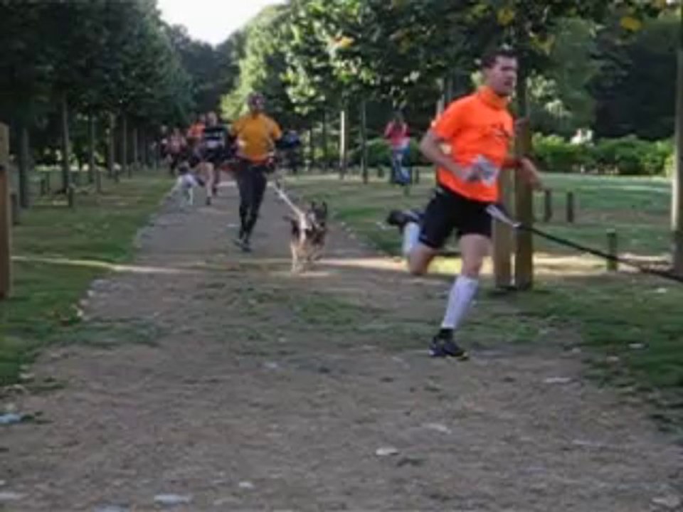 depart canicross de gestel le 15/09/2013