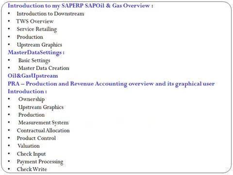 SAP IS OIL AND GAS ONLINE TRAINING AND PLACEMENTS | MAGNIFIC TRAINING