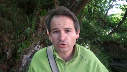 Cómo saber si tu ordenador está infectado por un vírus