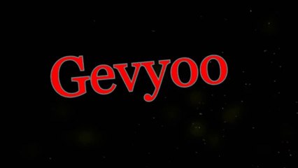 Test Intro Gevyoo